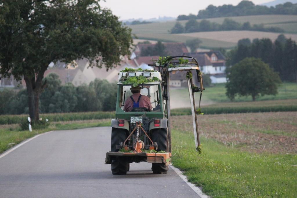 Ferienwohnungen Eichenhof Kapellen-Drusweiler Exteriér fotografie